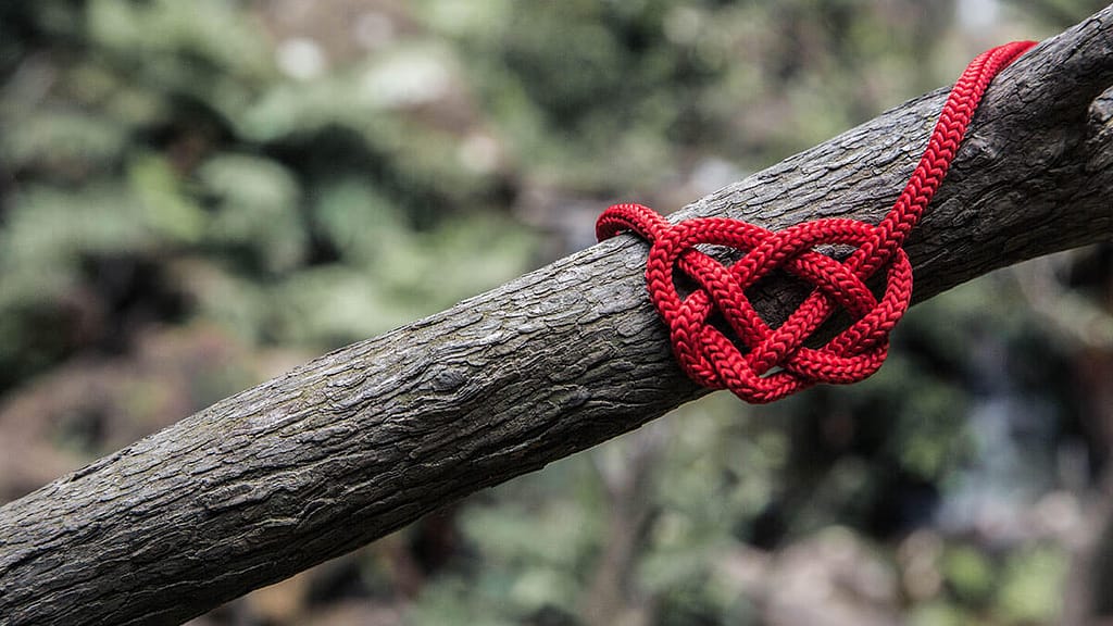 Red heart knot on a branch